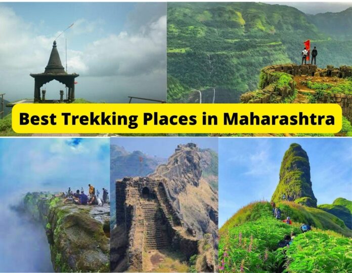 Best Trekking Places in Maharashtra