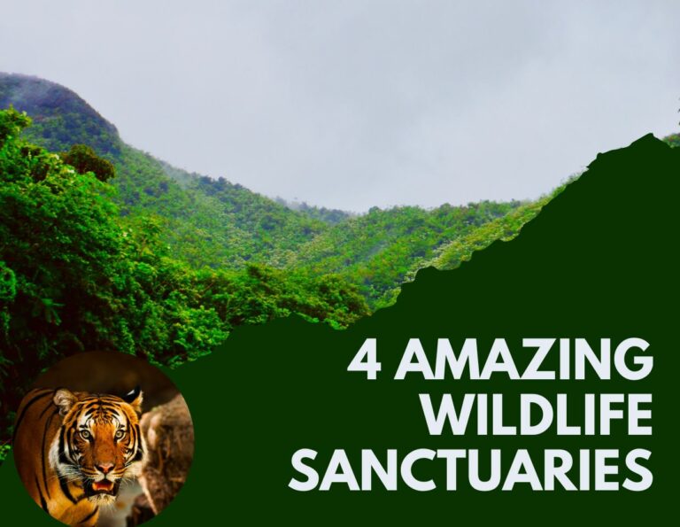 4 Amazing Wildlife Sanctuaries In And Around Hyderabad