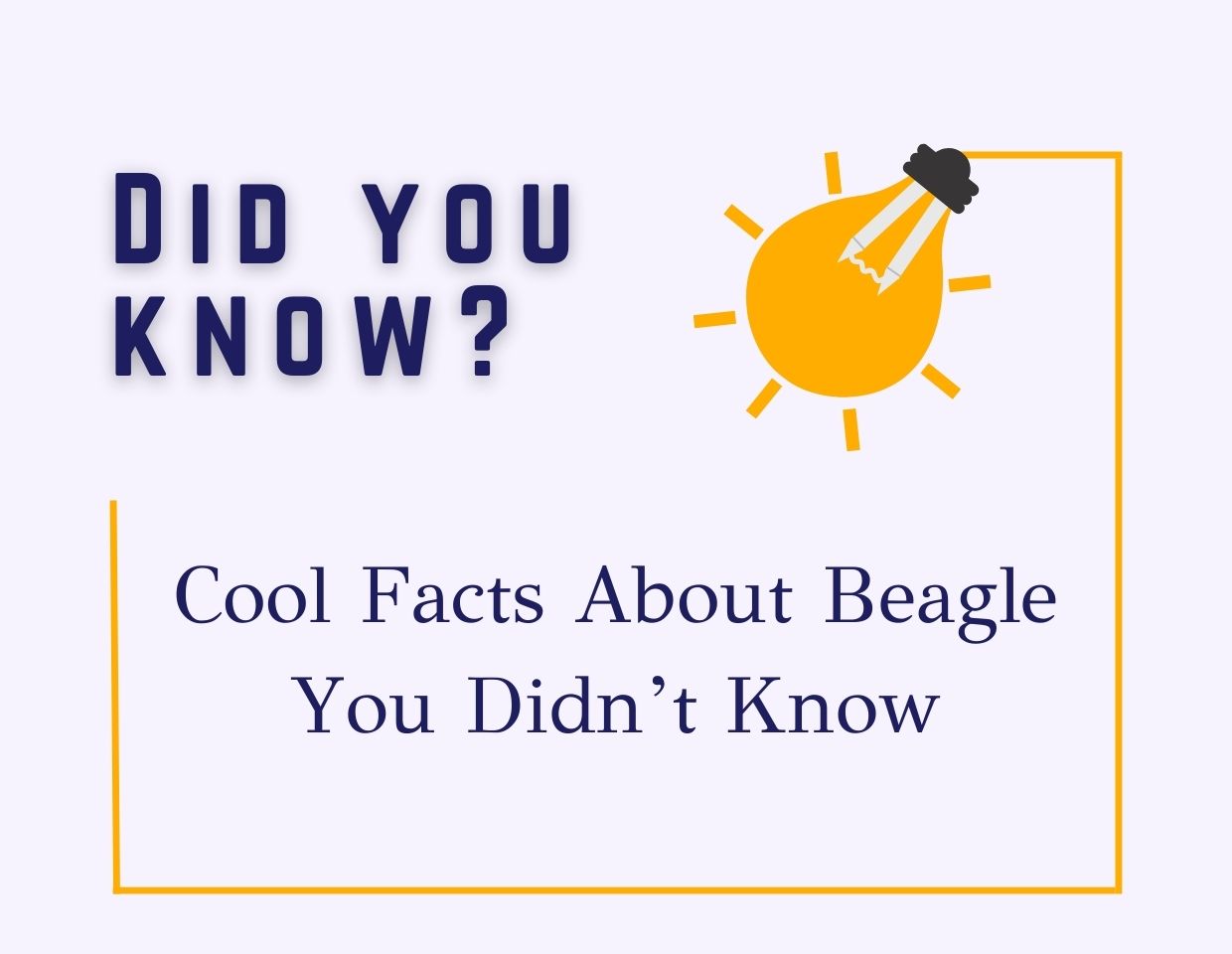 facts-about-beagle-know